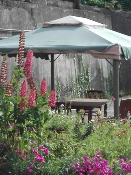 La Torretta Bed & Breakfast Torriglia Exterior foto
