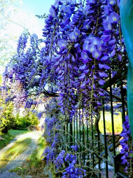 La Torretta Bed & Breakfast Torriglia Exterior foto